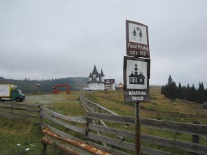 IMG_2442