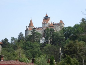IMG_2495