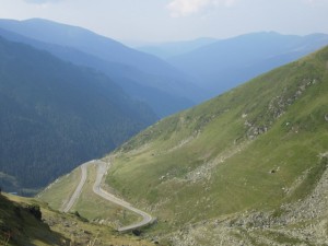 IMG_2515