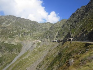 IMG_2516