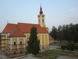 IMG_2609
