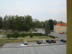 IMG_2610