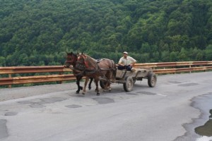 IMG_4068