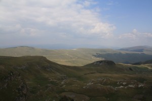 IMG_4146